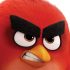 AngryBird